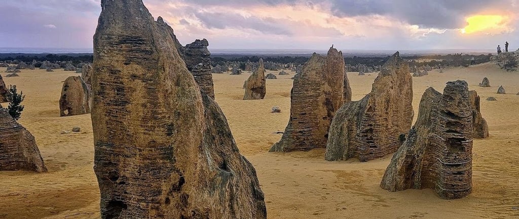 Limestone pinnacles rise from yellow desert sand at Nambung National Park during a cloudy sunset.