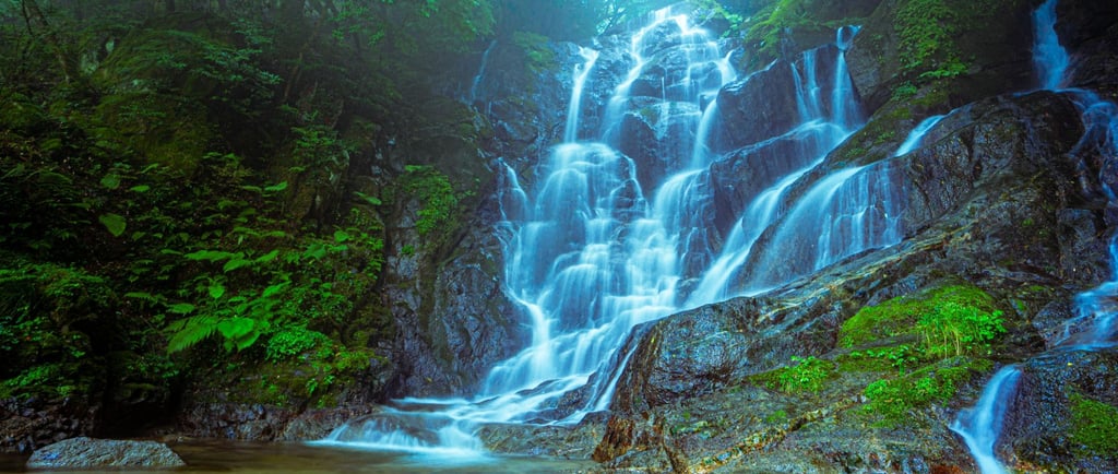 A long exposure waterfall cascading down dark rocks in a lush, misty green forest.