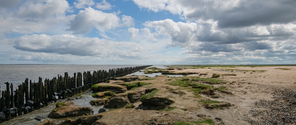 Rustic wooden groynes line a sandy North Sea coastal landscape under a cloudy blue sky.