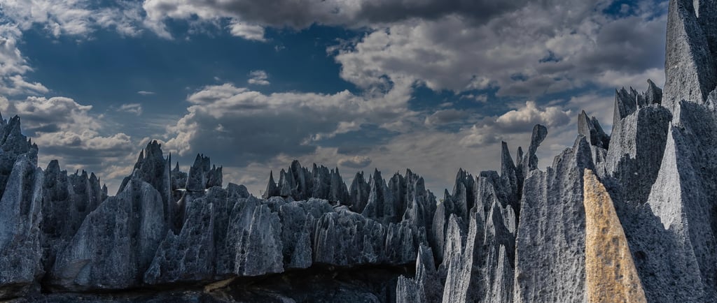 Jagged gray limestone peaks of Tsingy de Bemaraha National Park in Madagascar under a cloudy sky.