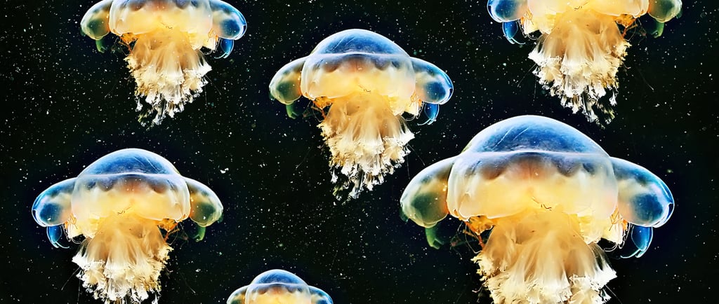 A group of glowing blue and yellow jellyfish swimming in dark deep sea water.