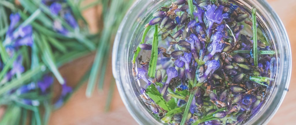 lavander in a jar with water