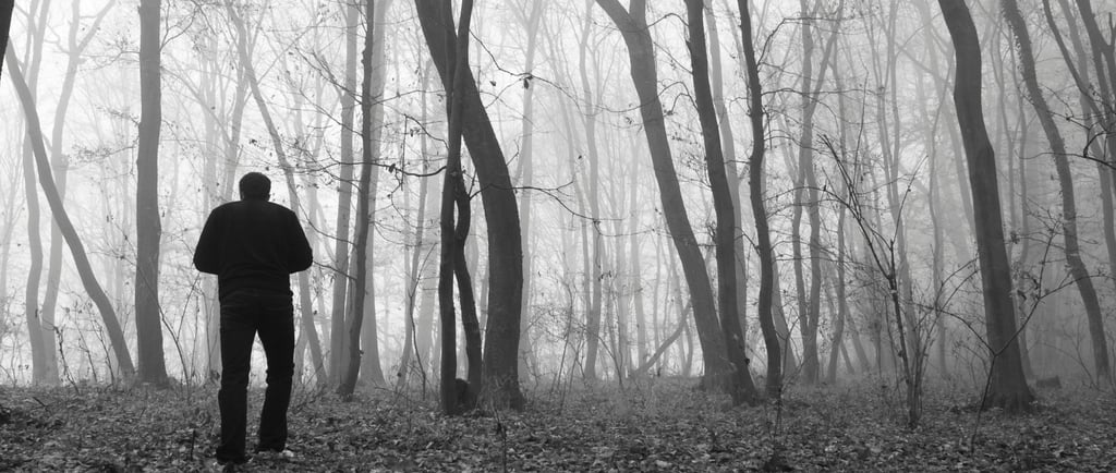 Man Alone In Woods