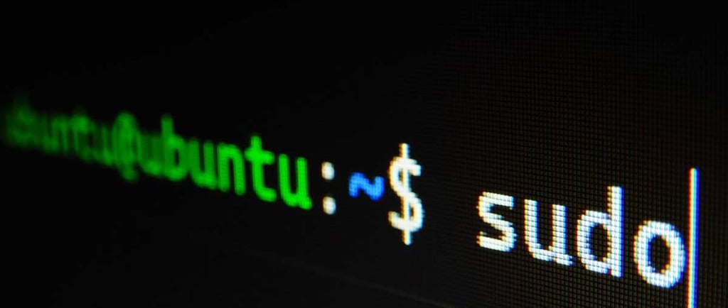 linux sudo command