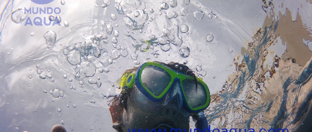 clases de natacion y buceo para niños en Merida, Yucatan,
