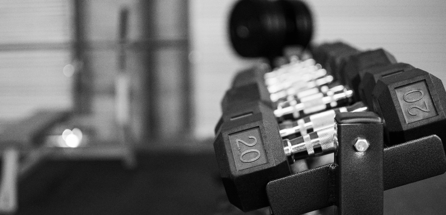dumbbells on a rack in a gym