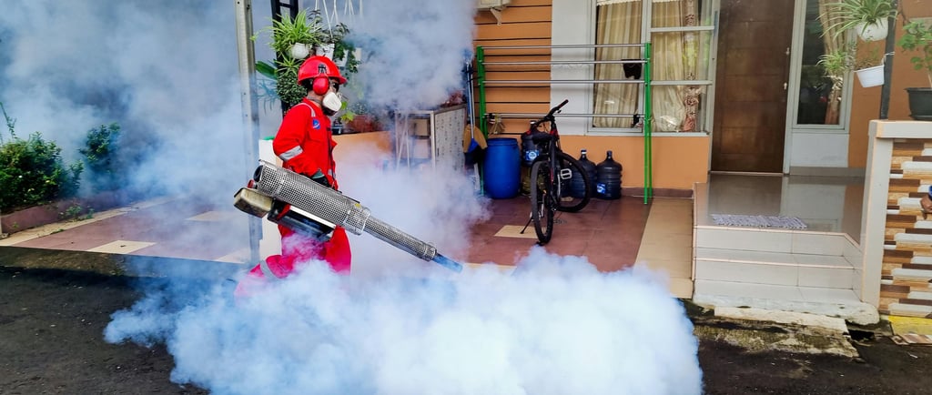 Pest Control in London