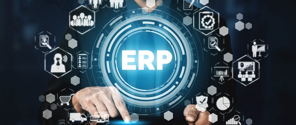 ERP Cloud Implementation in Consulting Industry