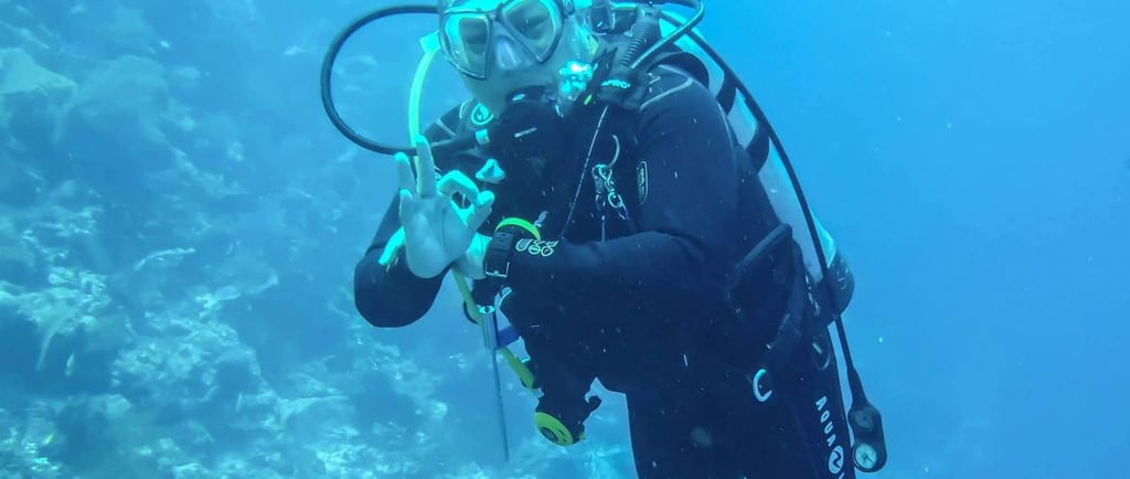 Advanced diver session Lovina Reef #AdvancedDive #LovinaDive #SunriseDiveBali