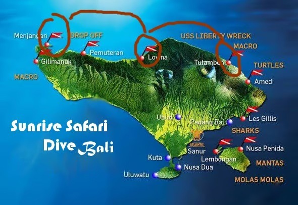 Dive guide with group exploring coral reef in North Bali Safari Tour