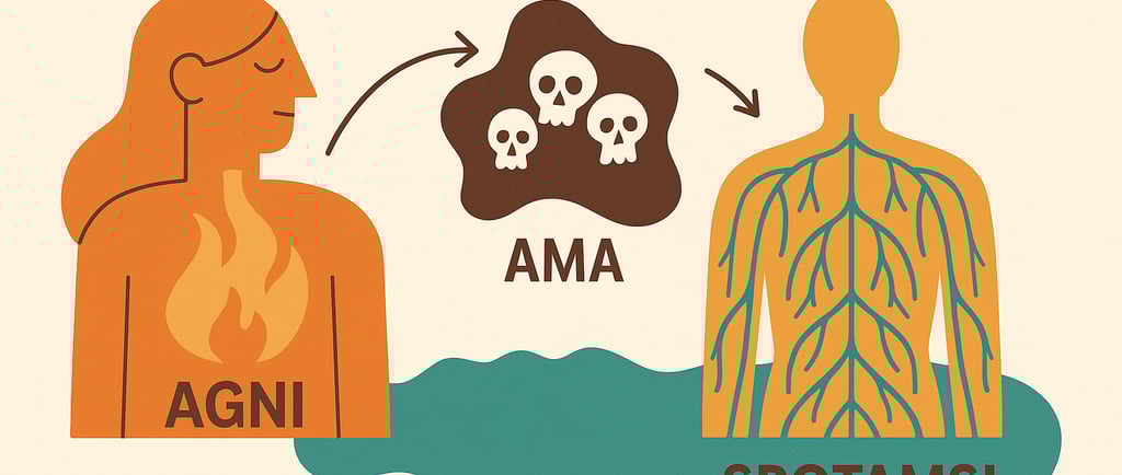 Ilustración ayurvédica que muestra la relación entre Agni, Ama y los Srotamsi como causa del desequilibrio físico y emocional