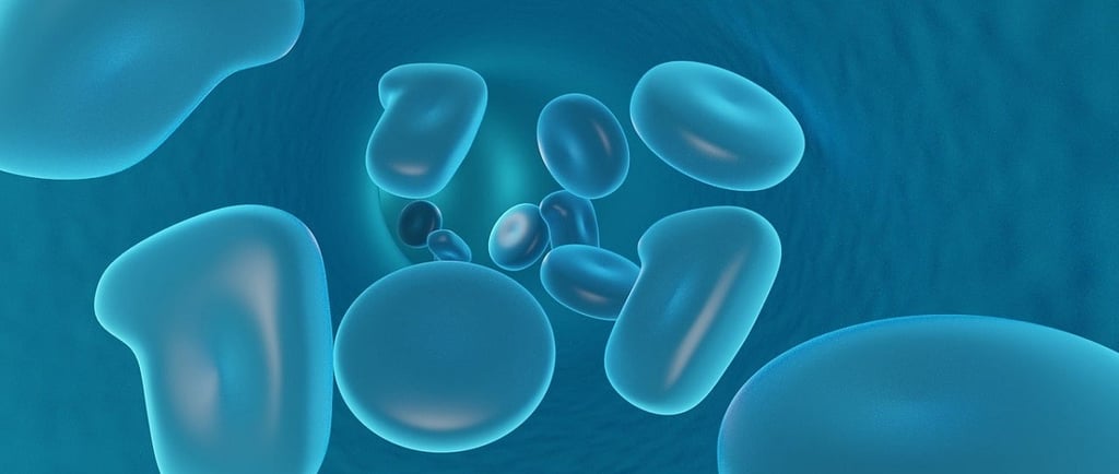 Blood Cells