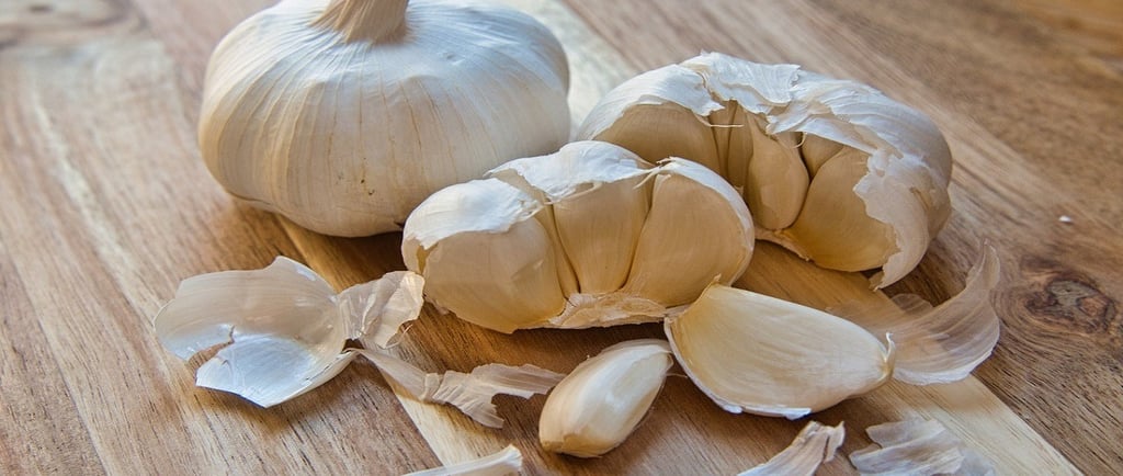 Garlic on the table