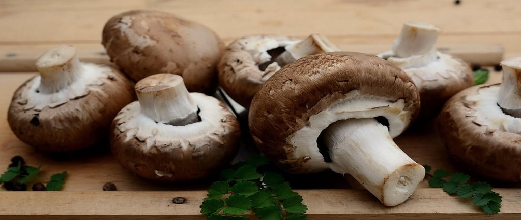 Mushrooms