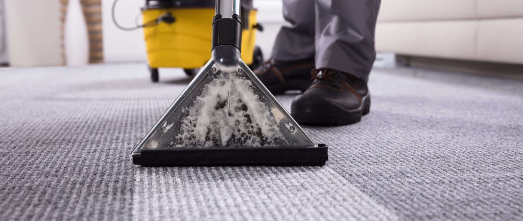 image montrant une prestation de nettoyage de tapis à Rennes 