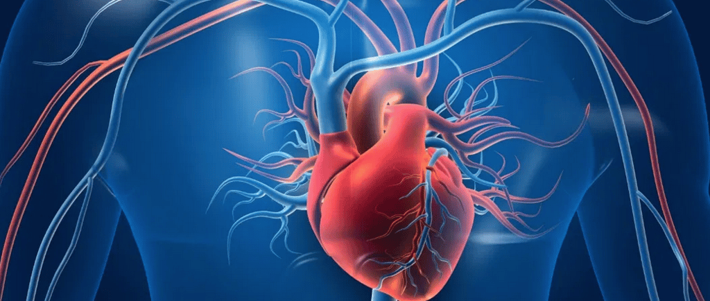 Cermat dalam memilih dan mengolah makanan menjadi faktor penting mencegah penyakit jantung atau kard