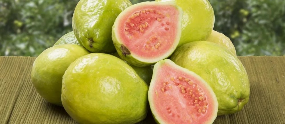 Benefícios e vitaminas da Goiaba