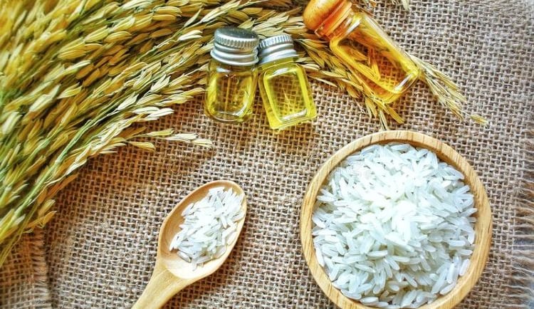 Gamma Oryzanol: Para que serve e benefícios