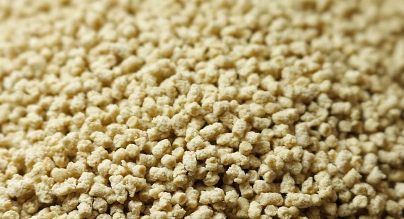 Crispie Proteico com Whey Protein: O Que É, Benefícios, Como Consumir e Receita Caseira