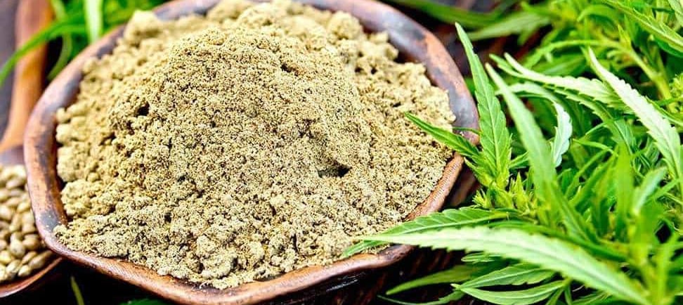 Proteína do Cânhamo: O Que É, Para Que Serve e Benefícios