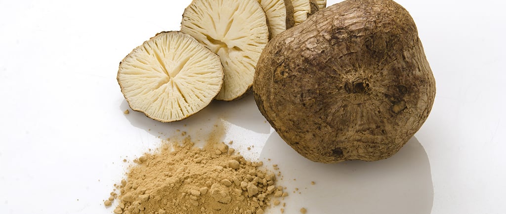 Pueraria Mirifica o Que é e Para Que Serve
