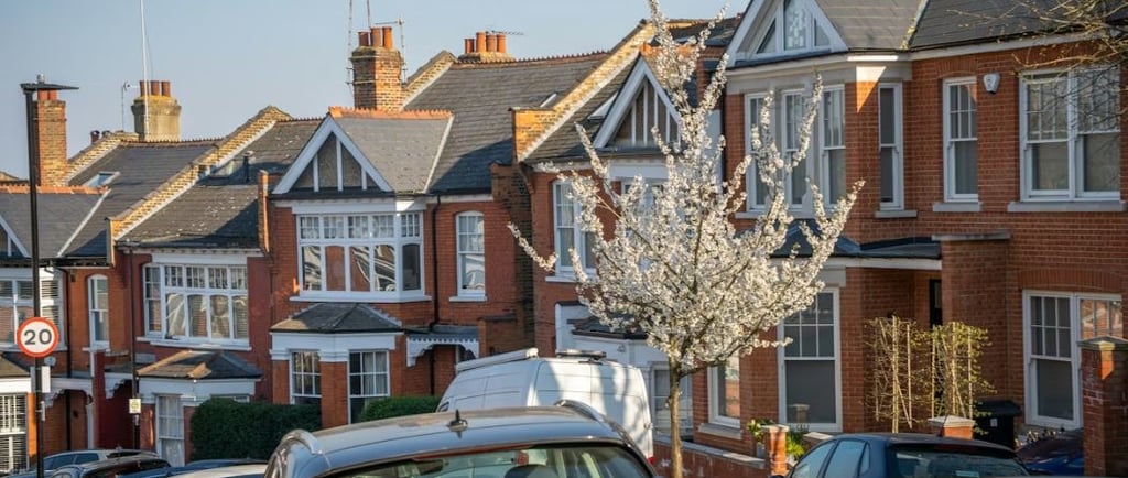 planning appeal consultant