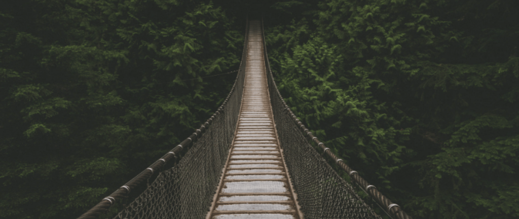 a suspension bridge over a river in a forest