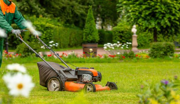 Professional Yard Maintenance