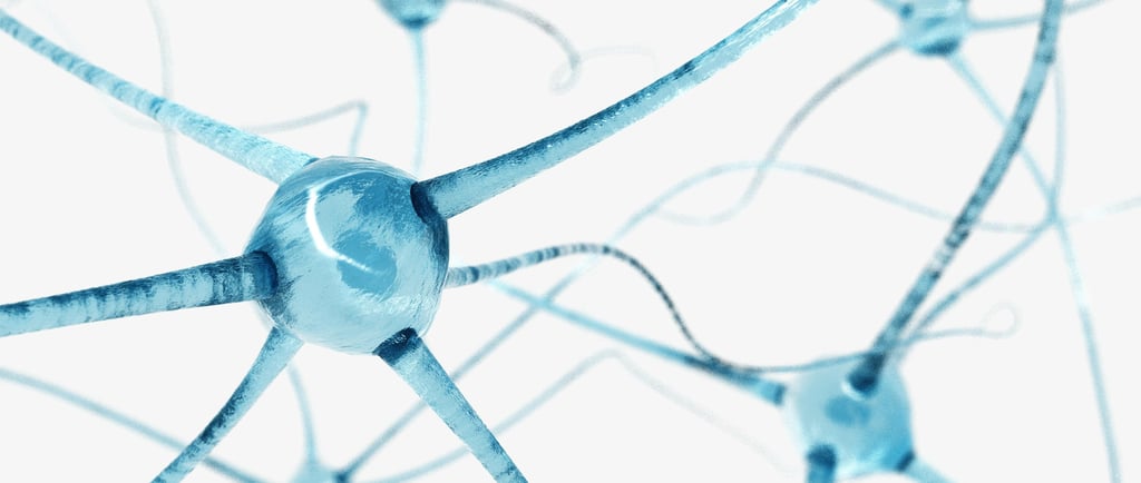 Can Physical Therapy Alleviate the Pain of a Pinched Nerve?