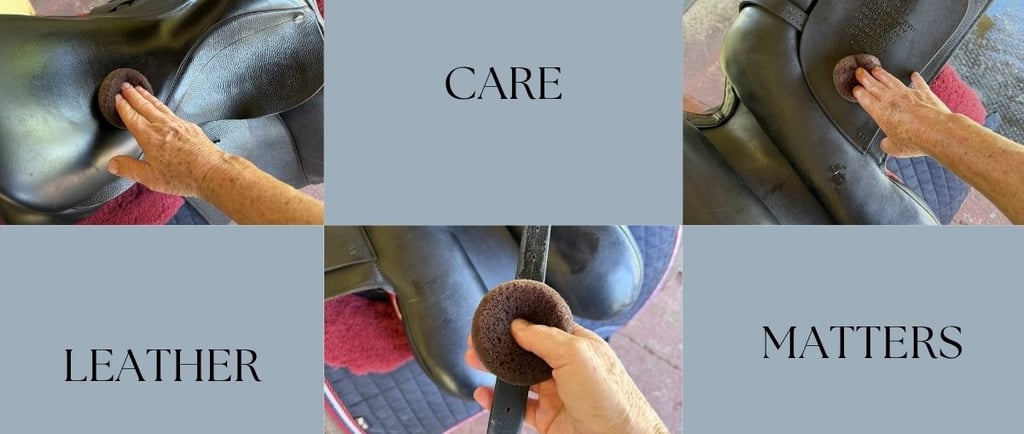Leather Care Matters