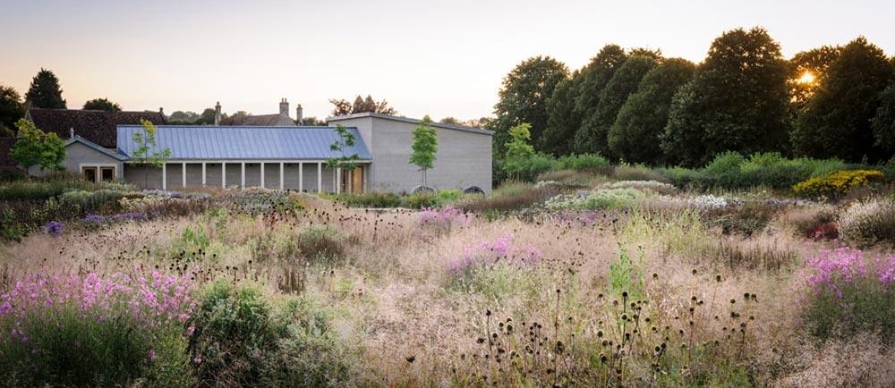 Dutch landscape designer Piet Oudolf known for naturalistic planting and modern garden design philos