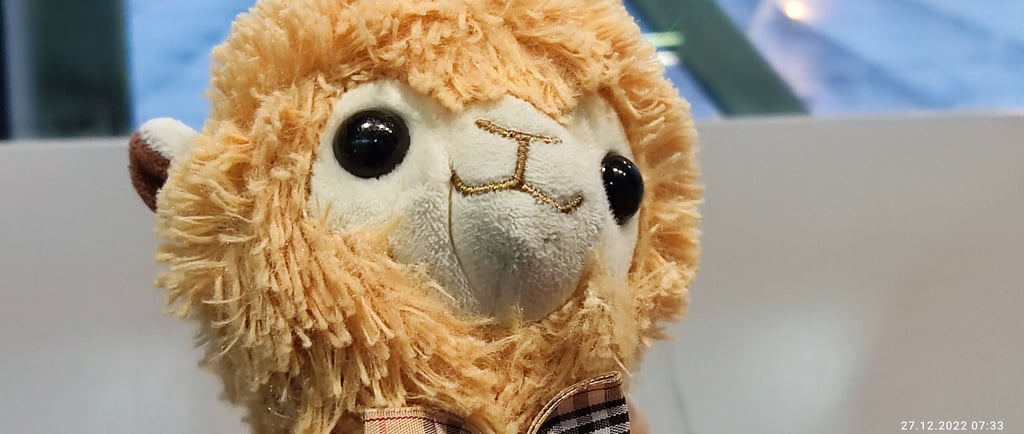 Bezpieczeństwo wypoczynku z dziećmi w Dabkach nad polskim morzem Bałtyk