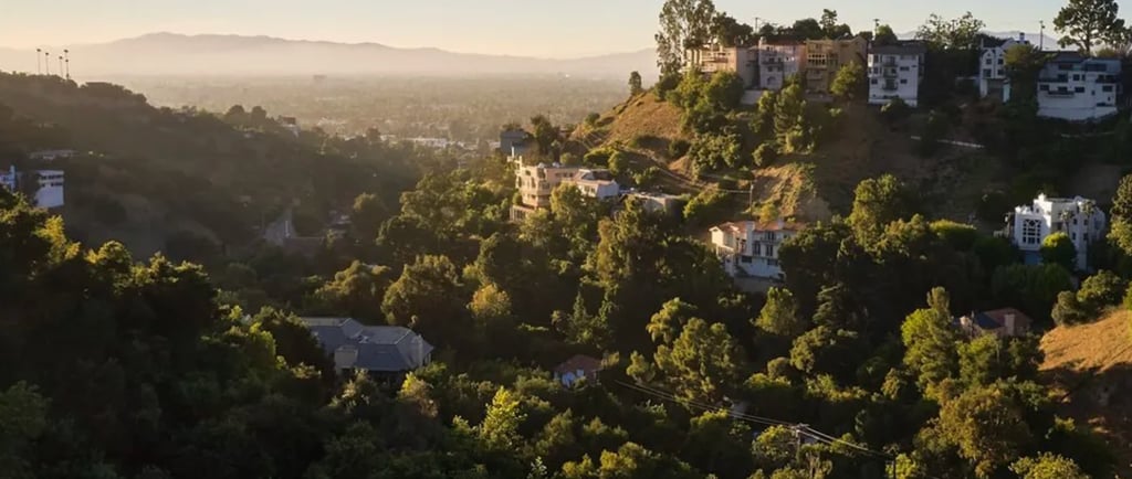 Coldwater Canyon Avenue descending through the Santa Monica Mountains into Studio City, a key detour