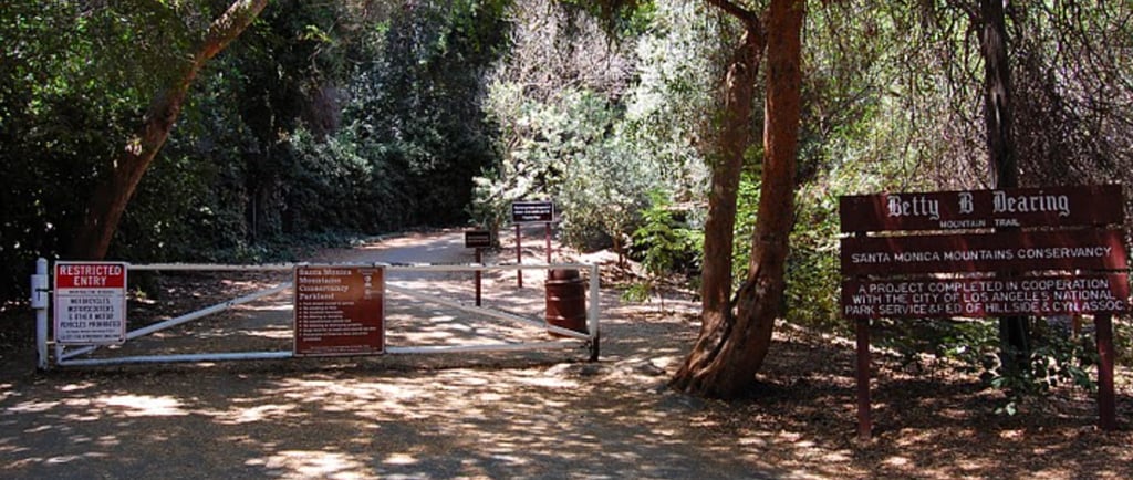 View of the San Fernando Valley from the Betty B. Dearing Trail above Fryman Canyon in Studio City