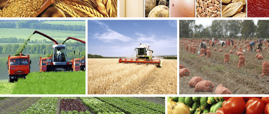 alt="cooking class baku" alt="azerbaijani cooking experience" alt="baku cooking workshop" alt="tradi