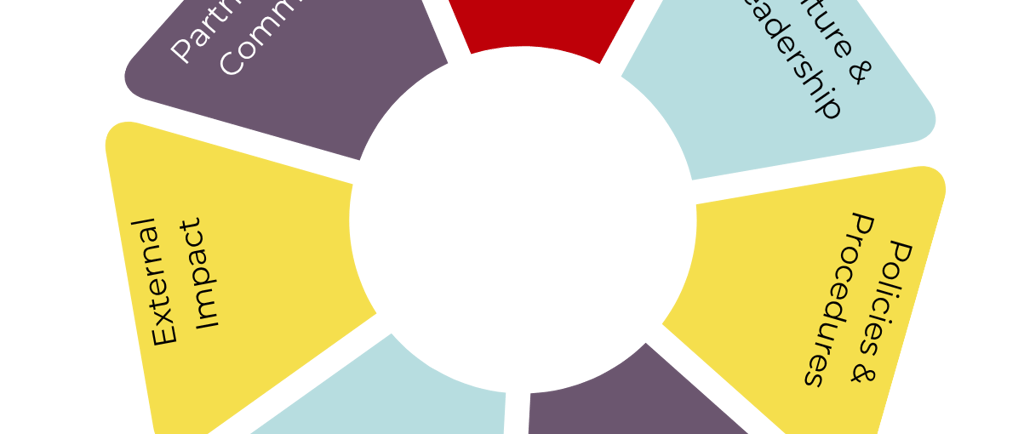 A round chart showing the areas of the anti-ableism maturity model described in the post