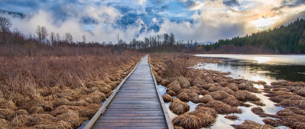 Wooden bog crossing
