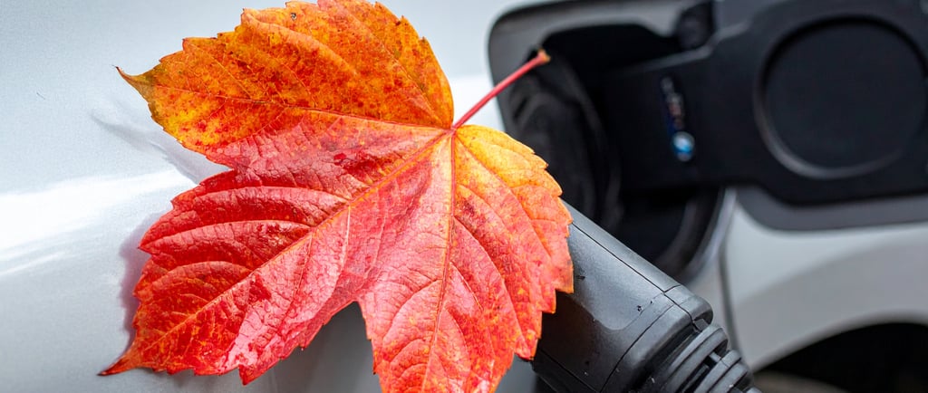 Seasonal Maintenance Tips for EV Charging Stations