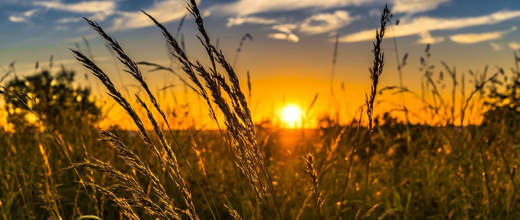 Prendre soin de soi en été