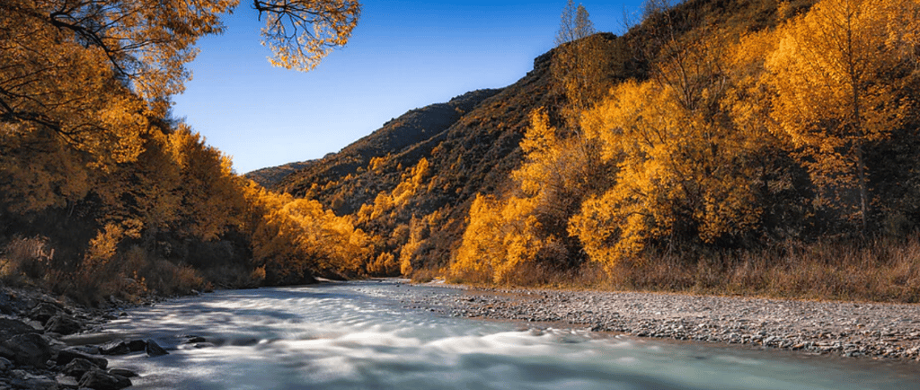 The Arrow River in Autumn