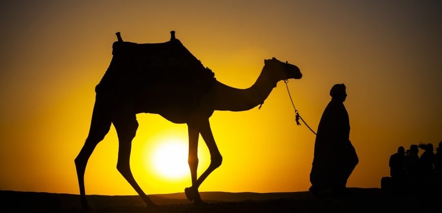 Explore Morocco Travel Guides – Mountains, Desert & Culture