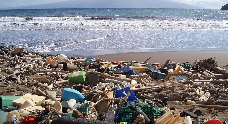 trash on the beach. wiki comms