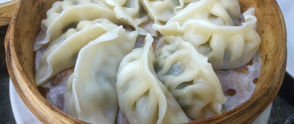 chinese dumpling