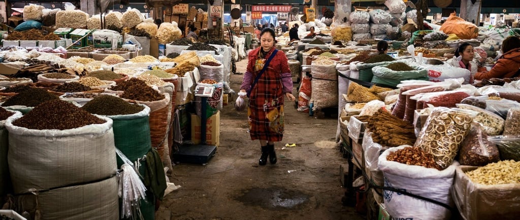 Chengdu Traditional Market