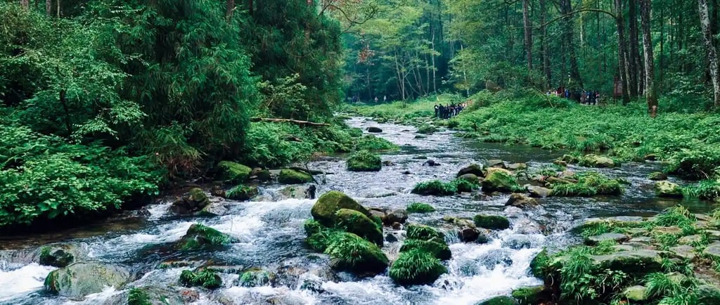 golden whip stream zhangjiajie winter