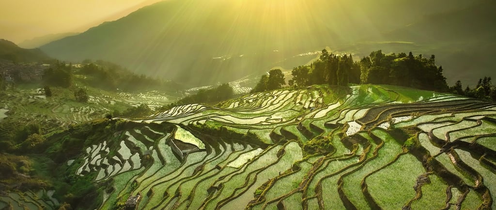 元阳梯田