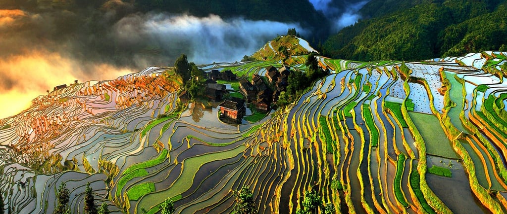 guizhou rice terraces