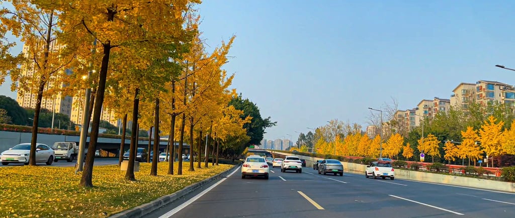 Chengdu Scenic Road