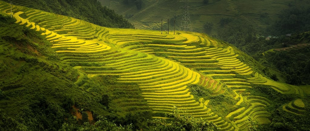 TOUR CHINA - TOURCHINA - CHINESE RICE TERRACE