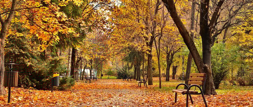 TOURCHINA - TOUR CHINA - TEMPAT TERBAIK DI CHINA PADA MUSIM GUGUR 2025